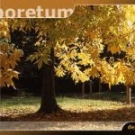 arboretum