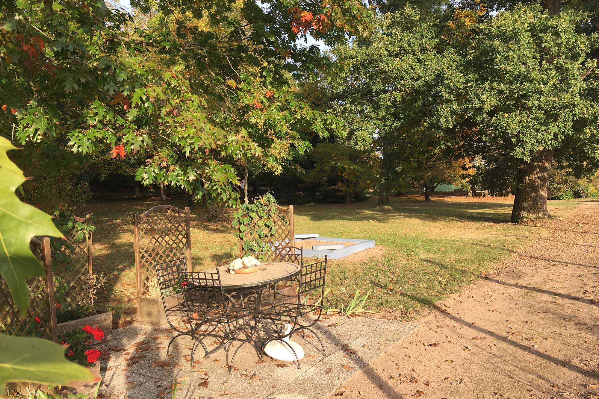 pause détente sous les chênes rouges