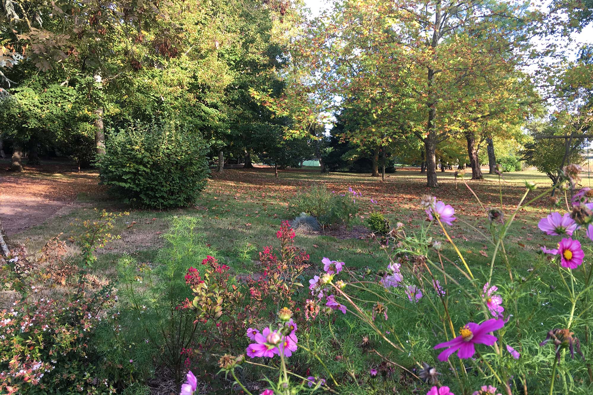 Le parc pour une cérémonie laïque