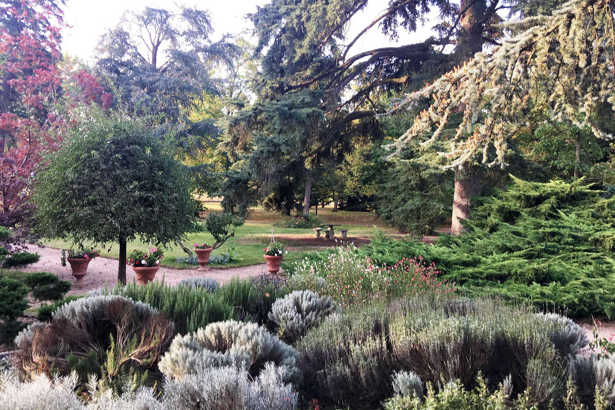 Le parc, vue de l'entrée